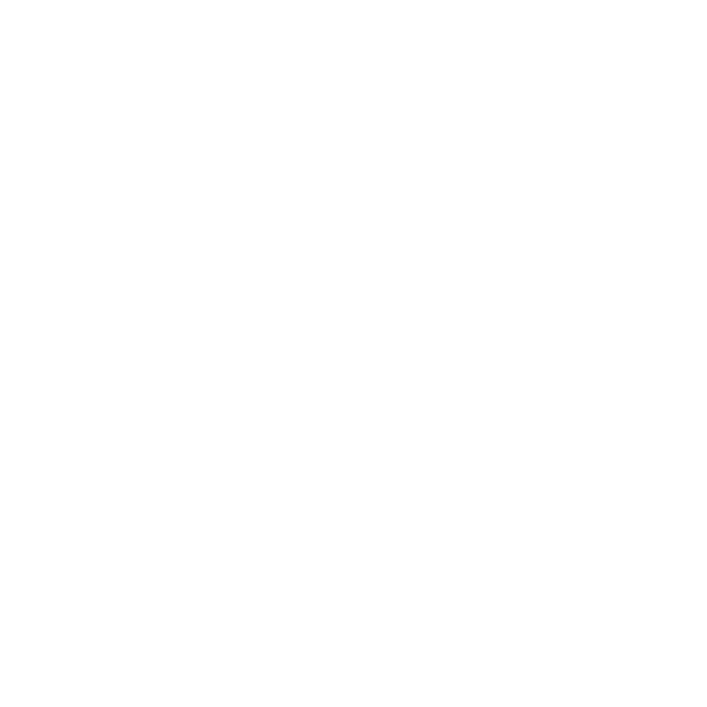 Car Carrier Service